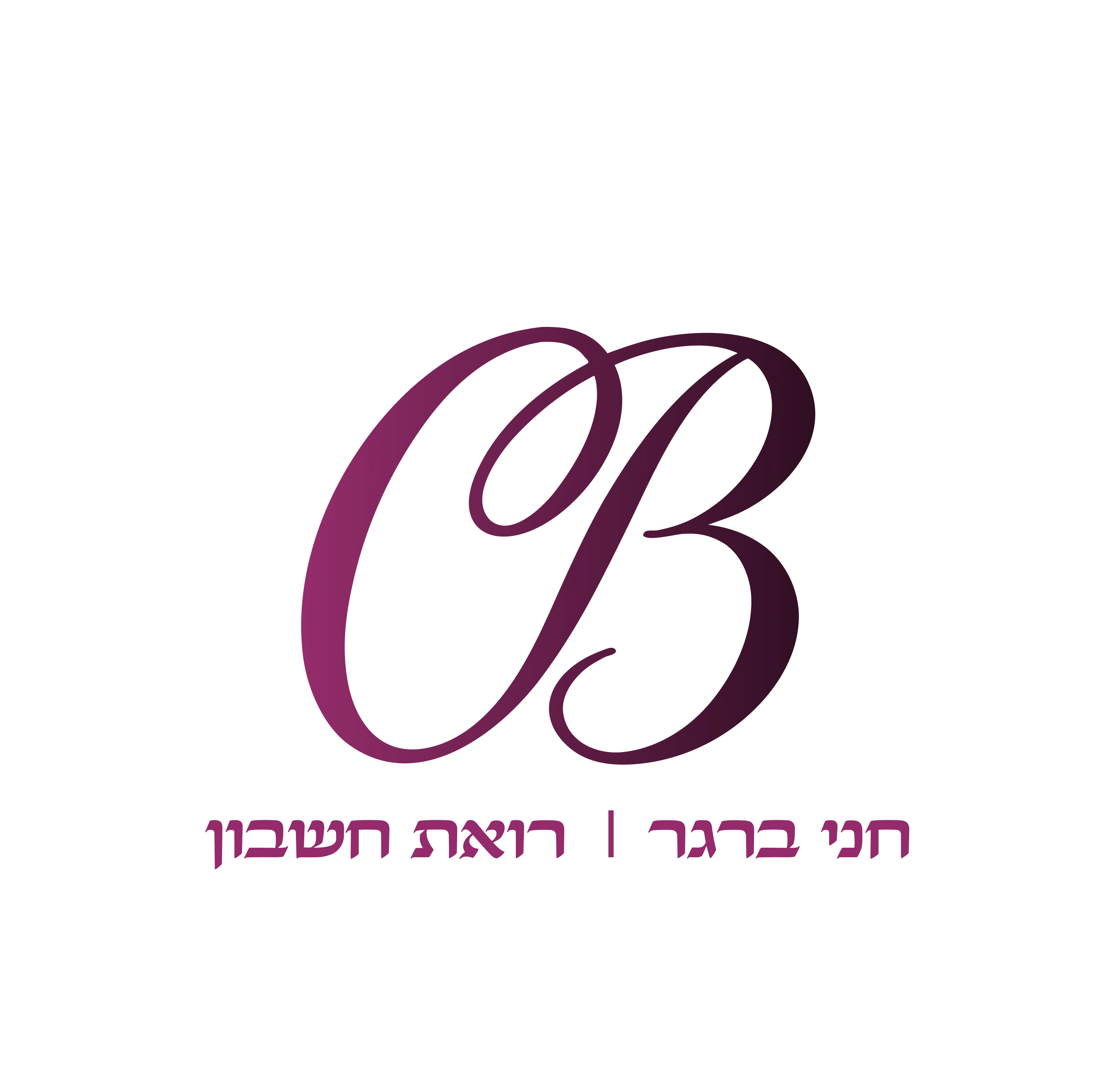 חני ברגר רואת חשבון